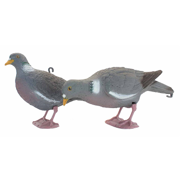 Flocked Pigeon w/ Legs